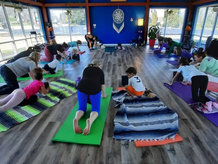 Platypus Yoga class participants do cat cow poses